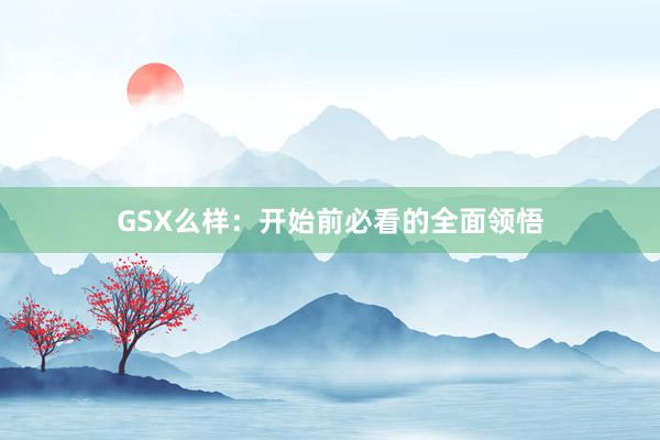 GSX么样：开始前必看的全面领悟